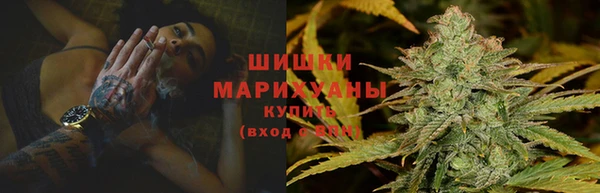 гидра Арсеньев