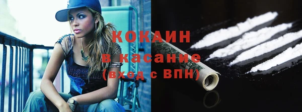 гидра Арсеньев