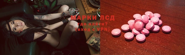 гидра Аркадак