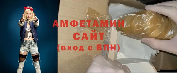 гидра Арсеньев
