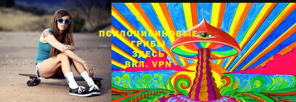 гидра Арсеньев