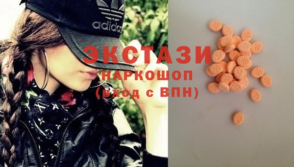гидра Аркадак