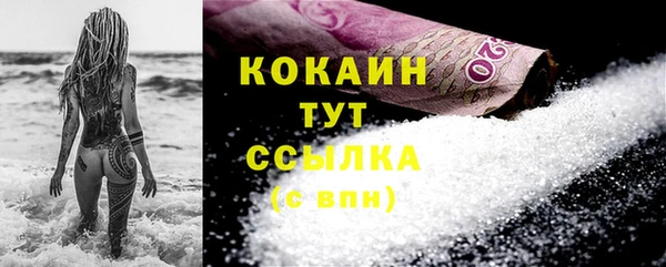 гидра Аркадак