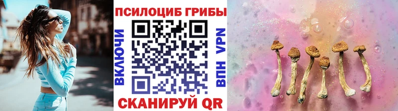 Галлюциногенные грибы Magic Shrooms  МЕГА ССЫЛКА  нарко площадка как зайти  Шуя 