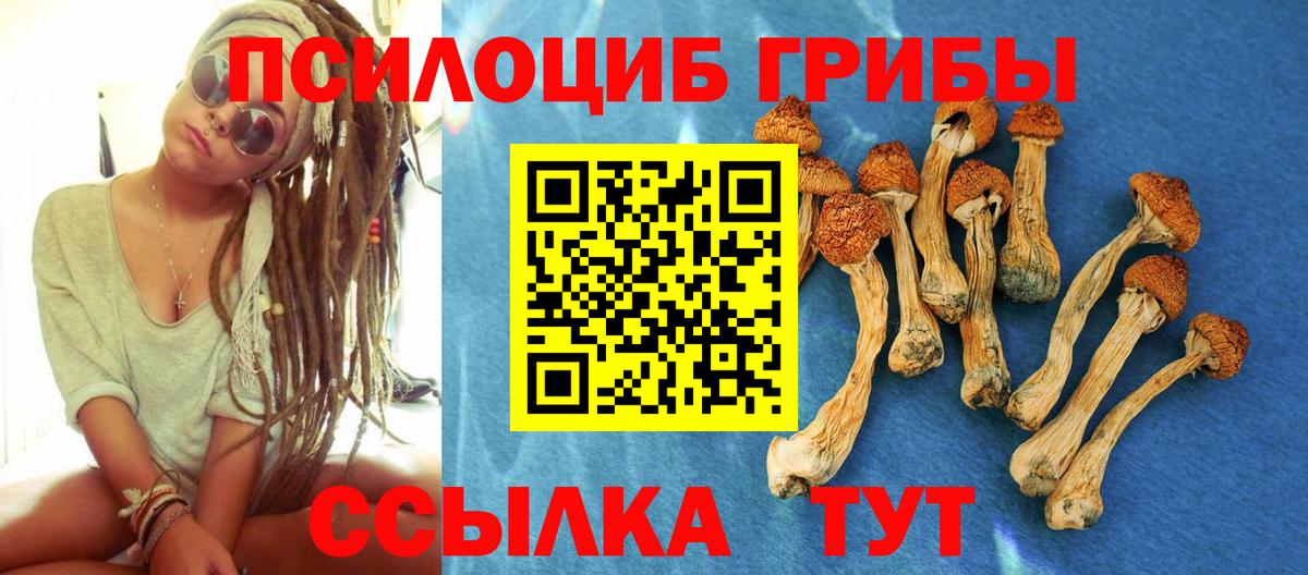 Псилоцибиновые грибы GOLDEN TEACHER Шуя