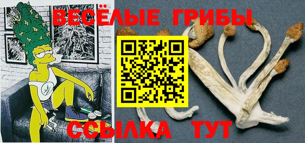 Псилоцибиновые грибы GOLDEN TEACHER  цена наркотик  Галлюциногенные грибы Psilocybe  Шуя  Вход с VPN 
