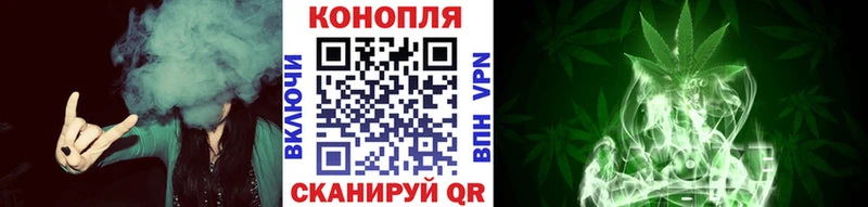 Канабис план  Шуя 